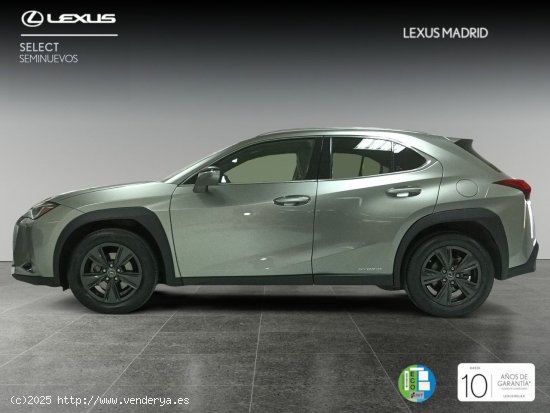 Lexus UX 2.0 250h Premium - Madrid