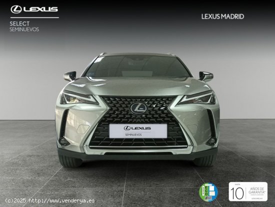 Lexus UX 2.0 250h Premium - Madrid