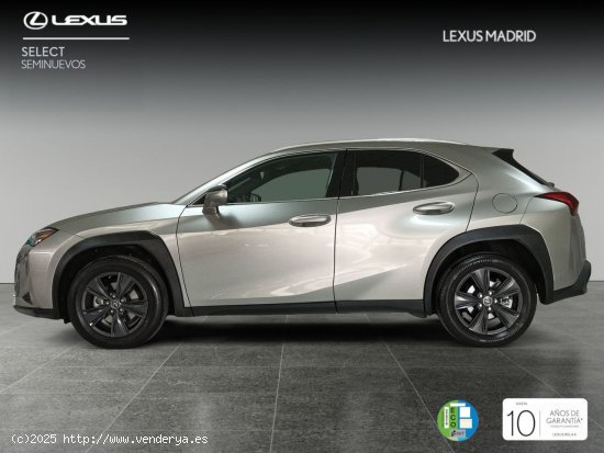 Lexus UX 2.0 250h Premium - Madrid