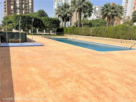 PISO EN VENTA DE 3 DORMITORIOS EN BENIDORM - ALICANTE