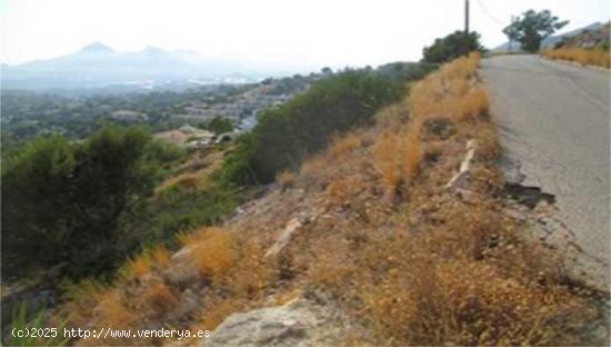 TERRENO URBANO EN ALTEA - ALICANTE