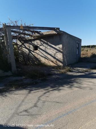 Terreno rustico de 8 hanegadas - VALENCIA