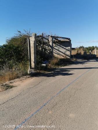 Terreno rustico de 8 hanegadas - VALENCIA