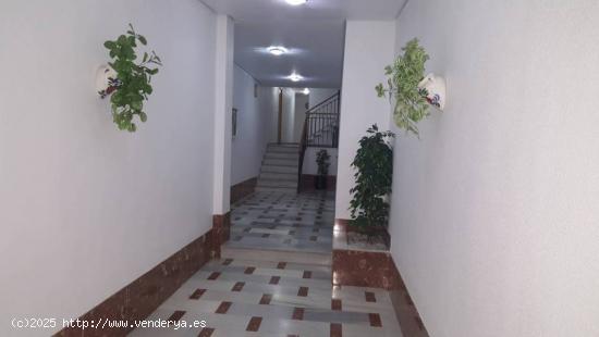 PISO EN VENTA EN SANTA MARIA DEL AGUILA. - ALMERIA