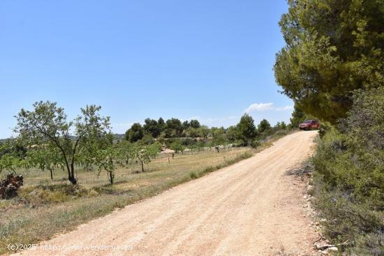 Finca con vistas a los puertos - TERUEL