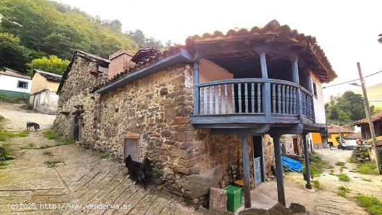  CASA TRADICIONAL ASTURIANA - ASTURIAS 