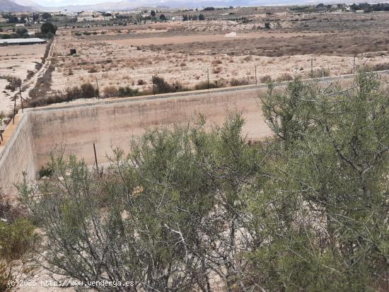  22000 METROS CUADRADOS TERRENOS RÚSTICOS EN BACAROT CERCA DEL GOLF RESORT EL PLANTÍO - ALICANTE 