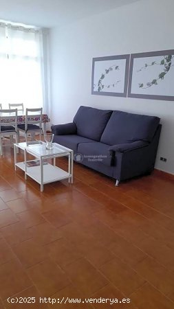 Apartamento en alquiler en Arona (Tenerife)