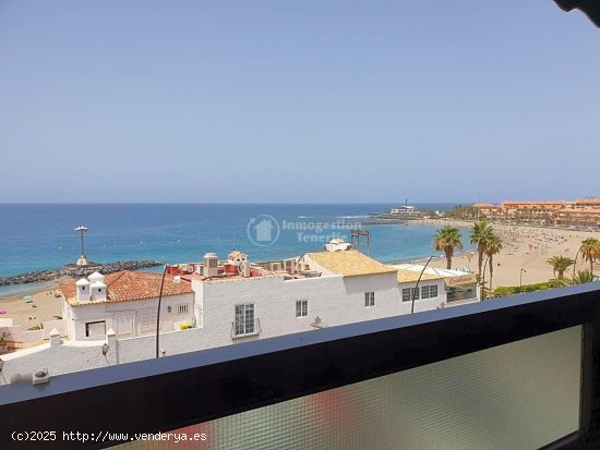  Apartamento en alquiler en Arona (Tenerife) 