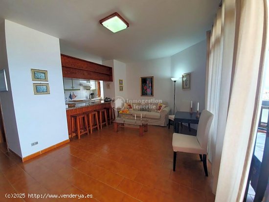 Apartamento en alquiler en Arona (Tenerife)