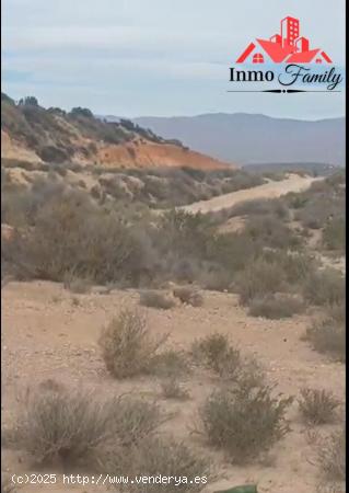  VENTA DE TERRENO AGRICOLA EN EL KM 21 .MUY BIEN UBICADO Y DE FACIL ACCESO - ALMERIA 