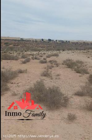 VENTA DE TERRENO AGRICOLA EN EL KM 21 .MUY BIEN UBICADO Y DE FACIL ACCESO - ALMERIA