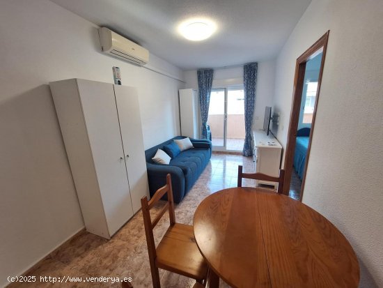  Apartamento en alquiler en Torrevieja (Alicante) 