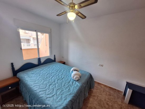 Apartamento en alquiler en Torrevieja (Alicante)