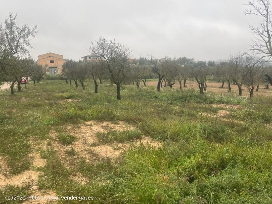 Finca en venta en La Fresneda (Teruel)