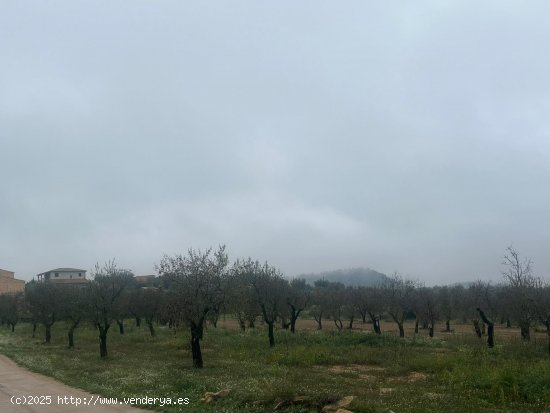 Finca en venta en La Fresneda (Teruel)