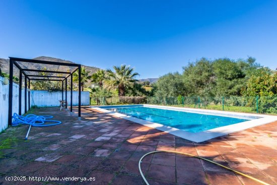 Casa en alquiler en Mijas (Málaga)