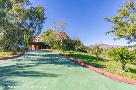 Casa en alquiler en Mijas (Málaga)