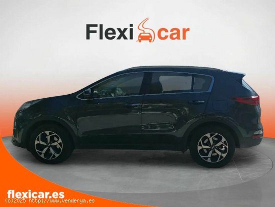 Kia Sportage 1.6 MHEV Drive 100kW (136CV) 4x2 - Palma