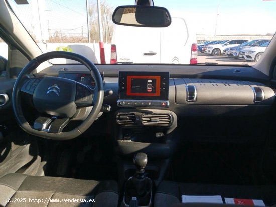 Citroën C4 Cactus BlueHDi 100 S&S C-Series - Lugo