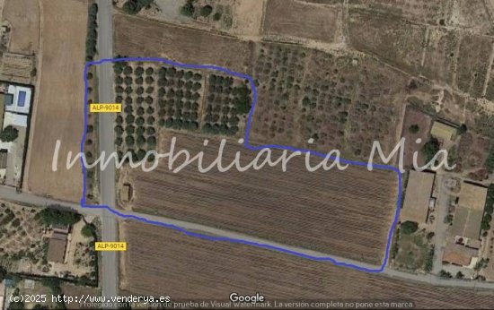 Se vende finca de 14000m2 Aprox en Huercal Overa (San Fracisco)