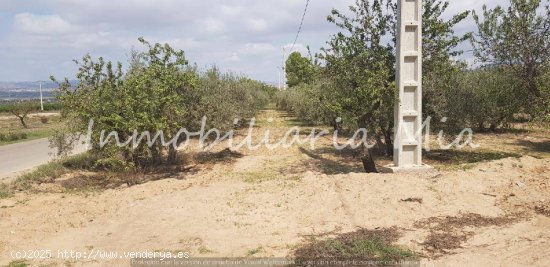 Se vende finca de 14000m2 Aprox en Huercal Overa (San Fracisco)