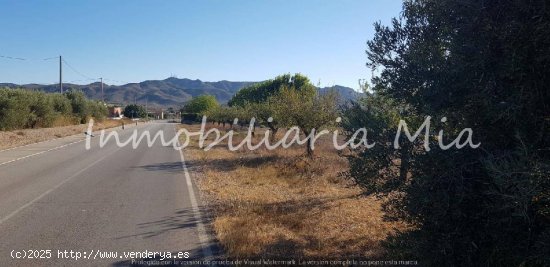 Se vende finca de 14000m2 Aprox en Huercal Overa (San Fracisco)