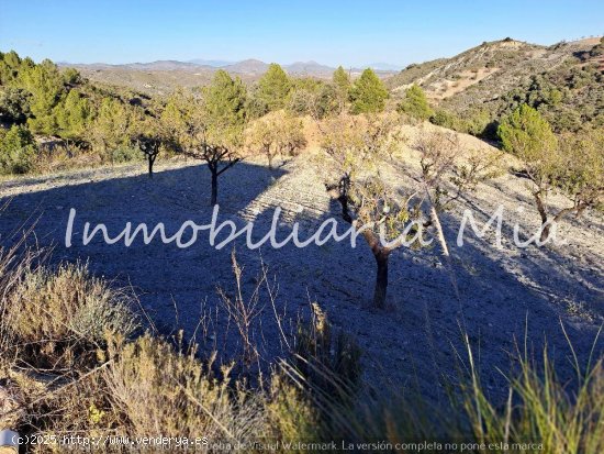 Se vende finca de 90000m2 aprox, con Almacén agrícola de 40m2 aprox.