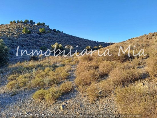 Se vende finca a 10 minutos de Puerto Lumbreras