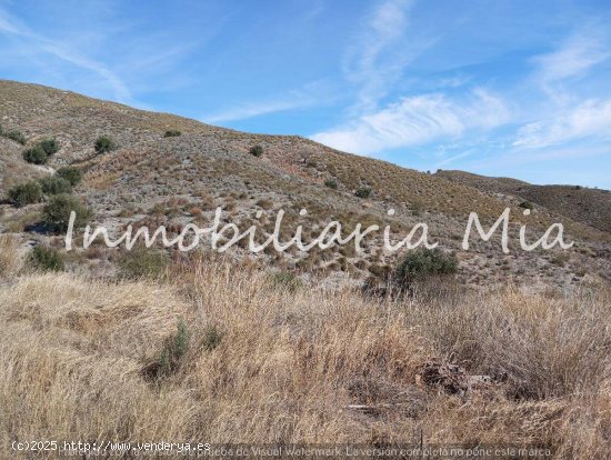 ESTUPENDA FINCA DE ALMENDROS Y OLIVOS EN VENTA LORCA