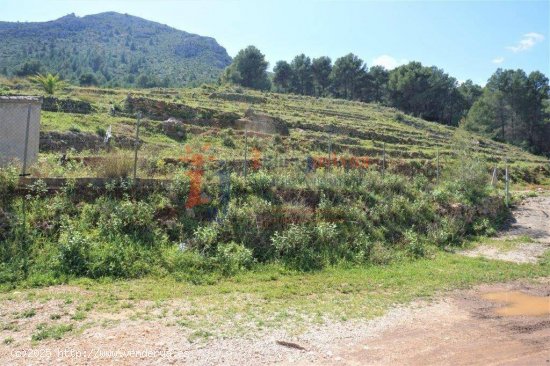 Terreno 55.000 m2 Callosa d Ensarriá