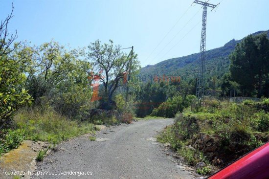 Terreno 55.000 m2 Callosa d Ensarriá