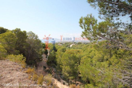 Parcela con vistas al mar en Altea