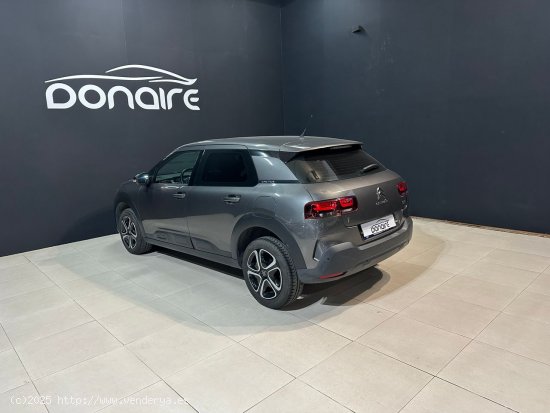 Citroën C4 Cactus PureTech 110 S&S Feel - Sada