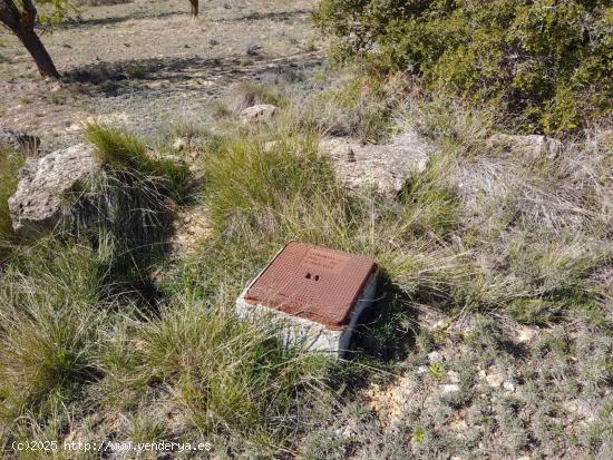 OPORTUNIDAD FINCA DE REGADIO EN BATEA CON CASETA A RESTAURAR - TARRAGONA