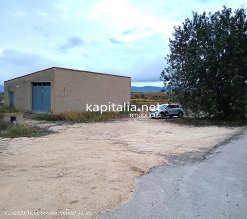  CASA CON MUCHA PARCELA EN ALBAIDA. - VALENCIA 