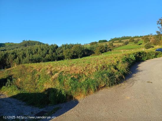 SE VENDE PARCELA URBANA EN MONCALIAN-BARCENA DE CICERO - CANTABRIA