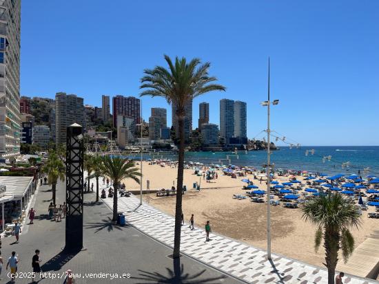  Alquiler larga temporada invierno,oct-jun con de 2 dormitorios en Benidorm primera linea mar,soleado 