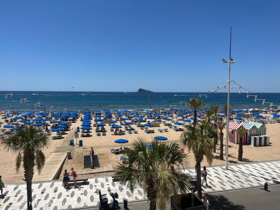 Alquiler larga temporada invierno,oct-jun con de 2 dormitorios en Benidorm primera linea mar,soleado