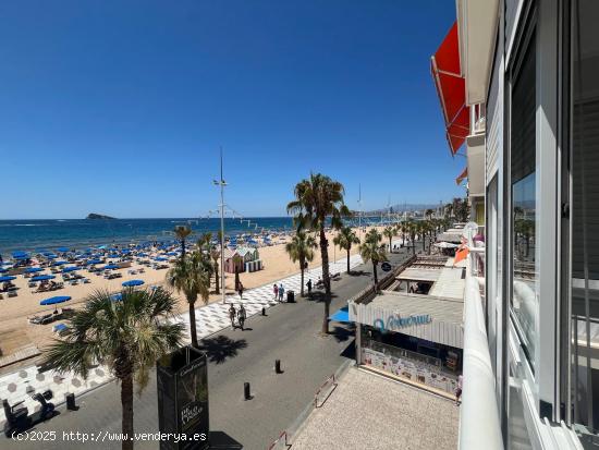 Alquiler larga temporada invierno,oct-jun con de 2 dormitorios en Benidorm primera linea mar,soleado