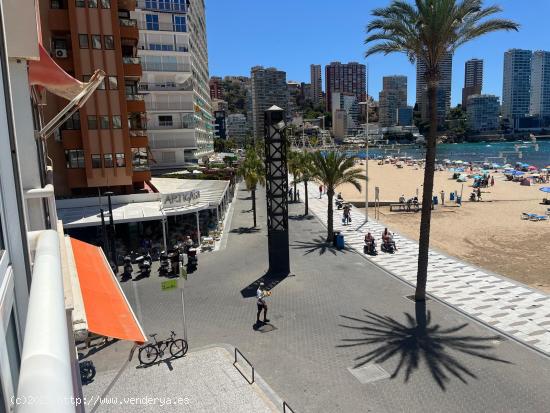 Alquiler larga temporada invierno,oct-jun con de 2 dormitorios en Benidorm primera linea mar,soleado