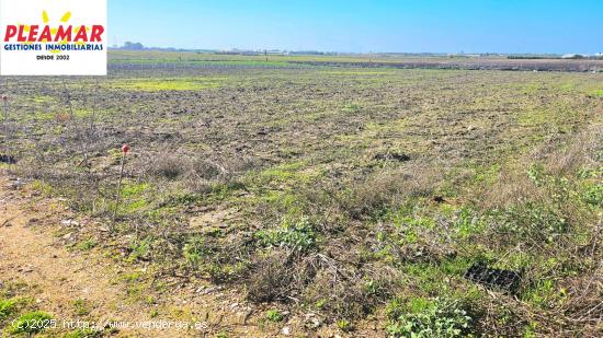 TERRENO RUSTICO EN PAGO POZO RINCONES - CADIZ