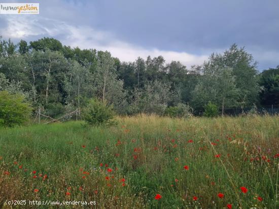 SE VENDE TERRENOS RUSTICOS EN TUDELA DE DUERO - VALLADOLID