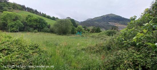 Se vende terreno urbano en Limpias - CANTABRIA