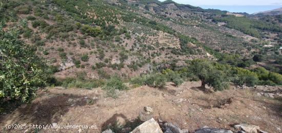 Finca rústica enclavada en el Parque Nacional de la Sierra de las Nieves - MALAGA