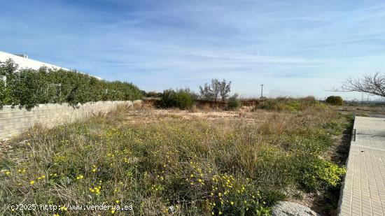 Parcela en El Vedat - VALENCIA