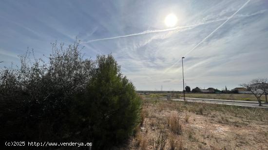 Parcela en El Vedat - VALENCIA