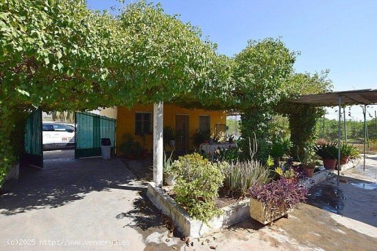  Finca en venta en Albatera (Alicante) 