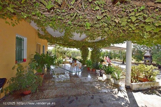 Finca en venta en Albatera (Alicante)