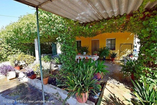 Finca en venta en Albatera (Alicante)